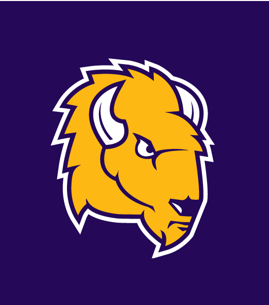 Lipscomb Bisons 2012-Pres Alternate Logo diy DTF decal sticker